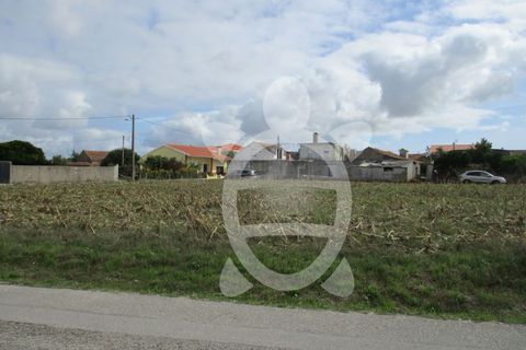 Helårsgrund i Lavos, Coimbra, Lavos - € 119.000 | Ref: ff0874 - foto 21