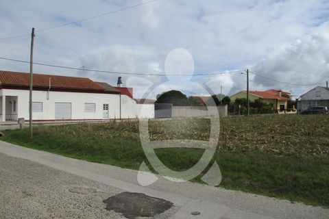 Helårsgrund i Lavos, Coimbra, Lavos - € 119.000 | Ref: ff0874 - foto 22