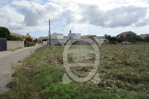 Helårsgrund i Lavos, Coimbra, Lavos - € 119.000 | Ref: ff0874 - foto 23