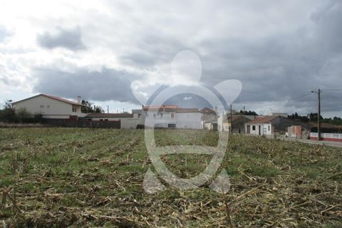 Helårsgrund i Lavos, Coimbra, Lavos - € 119.000 | Ref: ff0874 - foto 24