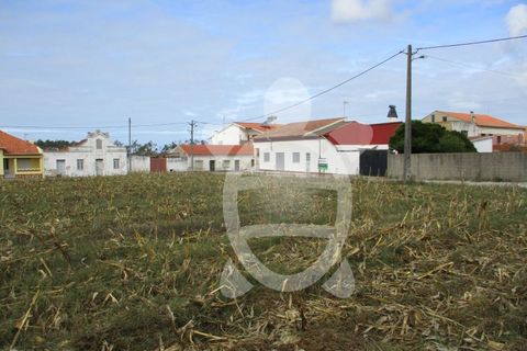 Helårsgrund i Lavos, Coimbra, Lavos - € 119.000 | Ref: ff0874 - foto 25