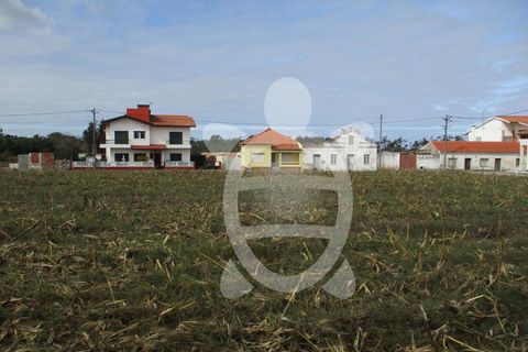 Helårsgrund i Lavos, Coimbra, Lavos - € 119.000 | Ref: ff0874 - foto 26
