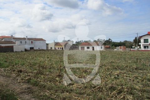 Helårsgrund i Lavos, Coimbra, Lavos - € 119.000 | Ref: ff0874 - foto 27
