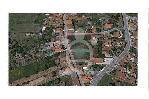 Helårsgrund i Lavos, Coimbra, Lavos - € 119.000 | Ref: ff0874 - foto 28