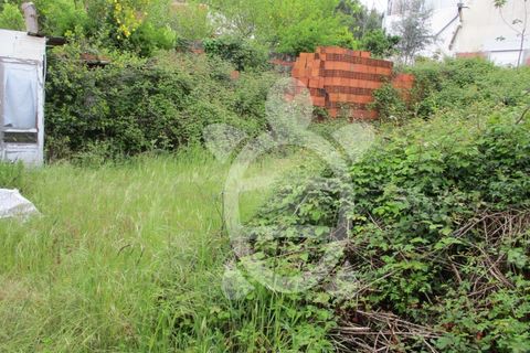 Helårsgrund i Coimbra, Coimbra, Coimbra - € 55.000 | Ref: cbr1868 - foto 5