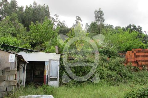 Helårsgrund i Coimbra, Coimbra, Coimbra - € 55.000 | Ref: cbr1868 - foto 6