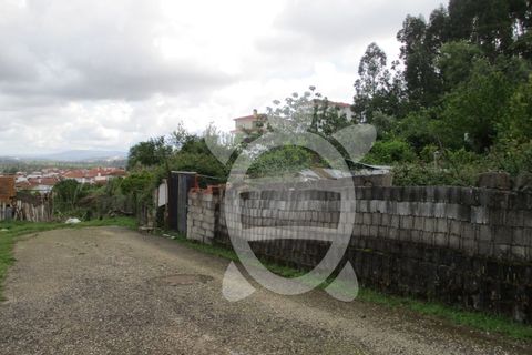 Helårsgrund i Coimbra, Coimbra, Coimbra - € 55.000 | Ref: cbr1868 - foto 9