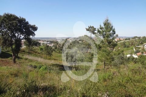 Helårsgrund i Coimbra, Coimbra, Coimbra - € 54.500 | Ref: cbr1853 - foto 2