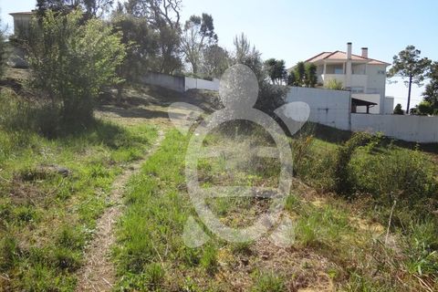 Helårsgrund i Coimbra, Coimbra, Coimbra - € 54.500 | Ref: cbr1853 - foto 4