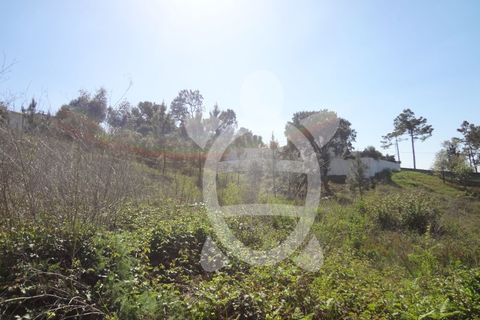 Helårsgrund i Coimbra, Coimbra, Coimbra - € 54.500 | Ref: cbr1853 - foto 5