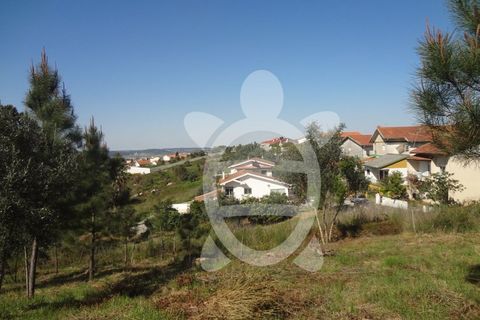 Helårsgrund i Coimbra, Coimbra, Coimbra - € 54.500 | Ref: cbr1853 - foto 6