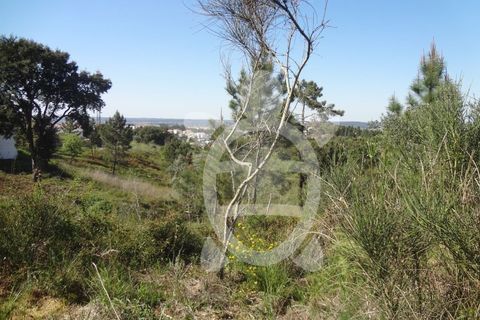 Helårsgrund i Coimbra, Coimbra, Coimbra - € 54.500 | Ref: cbr1853 - foto 7