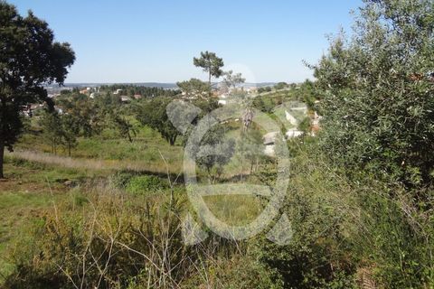Helårsgrund i Coimbra, Coimbra, Coimbra - € 54.500 | Ref: cbr1853 - foto 9