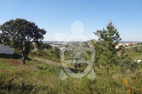 Helårsgrund i Coimbra, Coimbra, Coimbra - € 54.500 | Ref: cbr1853 - foto 10