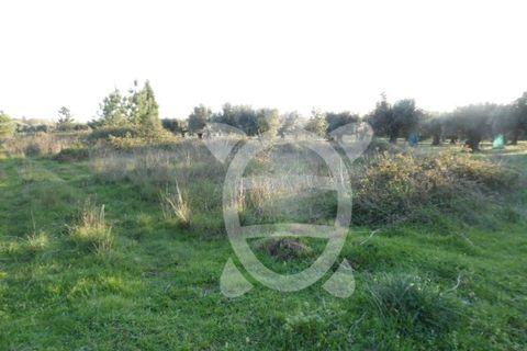 Helårsgrund i Coimbra, Coimbra, Coimbra - € 9.500 | Ref: cbr1827 - foto 3