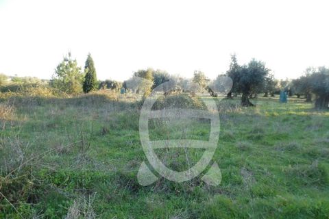 Helårsgrund i Coimbra, Coimbra, Coimbra - € 9.500 | Ref: cbr1827 - foto 5