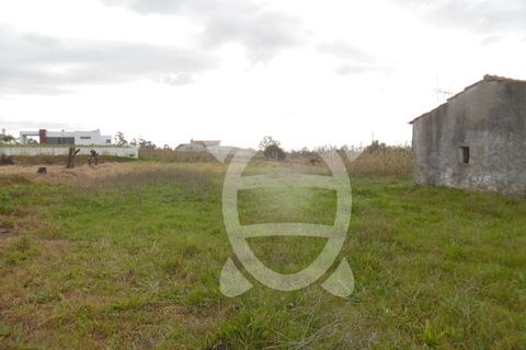 Terra a Condeixa-a-Nova, Coimbra, Condeixa-a-Nova - € 124.500 | Ref: cdx0272 - foto 2