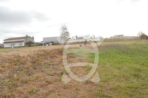 Terra a Condeixa-a-Nova, Coimbra, Condeixa-a-Nova - € 124.500 | Ref: cdx0272 - foto 3