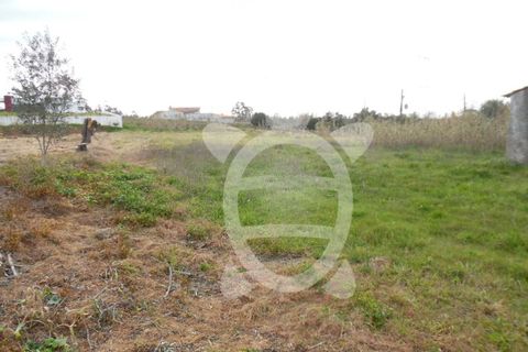 Terra a Condeixa-a-Nova, Coimbra, Condeixa-a-Nova - € 124.500 | Ref: cdx0272 - foto 4