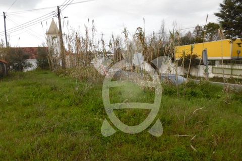 Terra a Condeixa-a-Nova, Coimbra, Condeixa-a-Nova - € 124.500 | Ref: cdx0272 - foto 5