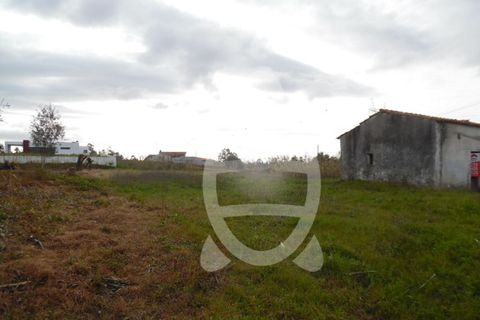 Terra a Condeixa-a-Nova, Coimbra, Condeixa-a-Nova - € 124.500 | Ref: cdx0272 - foto 6