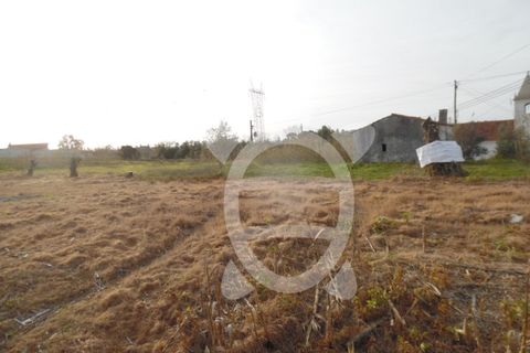 Terra a Condeixa-a-Nova, Coimbra, Condeixa-a-Nova - € 124.500 | Ref: cdx0272 - foto 7