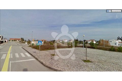 Terra a Anca, Coimbra, Anca - € 34.500 | Ref: cbr1783 - foto 4