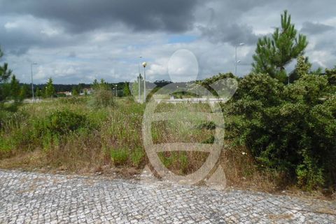 Terra a Anca, Coimbra, Anca - € 34.500 | Ref: cbr1783 - foto 5