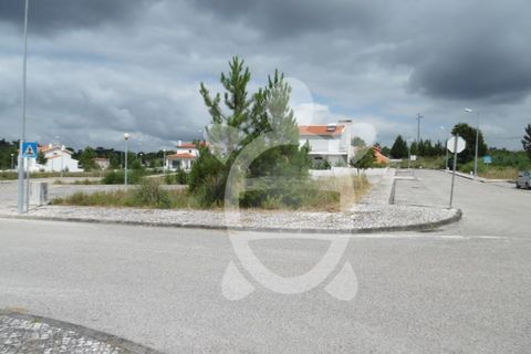 Terra a Anca, Coimbra, Anca - € 34.500 | Ref: cbr1783 - foto 8
