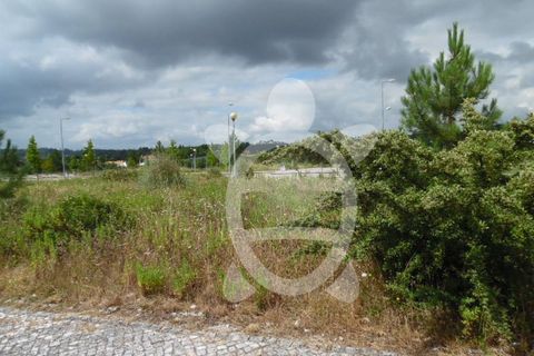 Terra a Anca, Coimbra, Anca - € 34.500 | Ref: cbr1783 - foto 10
