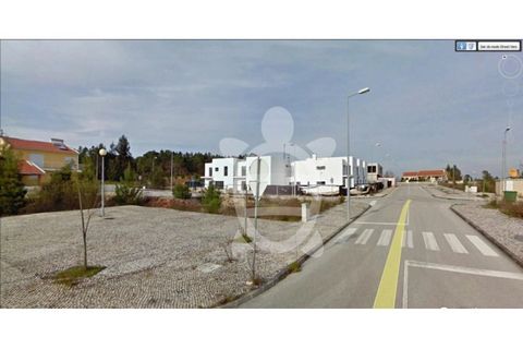 Terra a Anca, Coimbra, Anca - € 34.500 | Ref: cbr1780 - foto 3