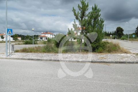 Terra a Anca, Coimbra, Anca - € 34.500 | Ref: cbr1780 - foto 7