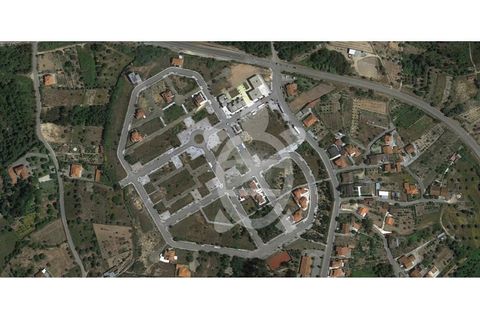 Terra a Anca, Coimbra, Anca - € 34.500 | Ref: cbr1780 - foto 10