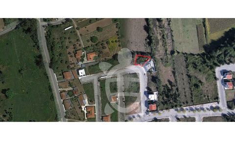 Tomt i Condeixa-a-Nova, Coimbra, Condeixa-a-Nova - € 70 000 | Ref: cdx0268 - foto 2