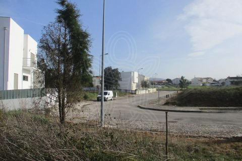 Tomt i Condeixa-a-Nova, Coimbra, Condeixa-a-Nova - € 70 000 | Ref: cdx0268 - foto 5