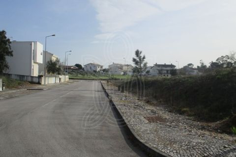 Tomt i Condeixa-a-Nova, Coimbra, Condeixa-a-Nova - € 70 000 | Ref: cdx0268 - foto 9