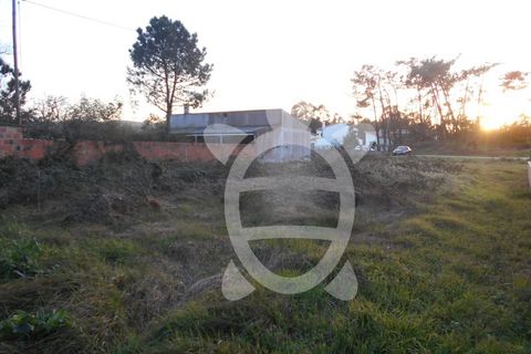 Helårsgrund i Quiaios, Coimbra, Quiaios - € 50.000 | Ref: ff0713 - foto 5