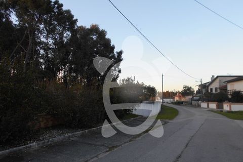 Helårsgrund i Quiaios, Coimbra, Quiaios - € 50.000 | Ref: ff0713 - foto 9