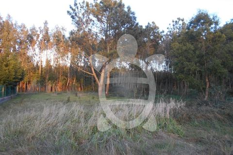 Helårsgrund i Quiaios, Coimbra, Quiaios - € 50.000 | Ref: ff0713 - foto 10
