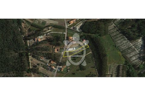 Helårsgrund i Quiaios, Coimbra, Quiaios - € 50.000 | Ref: ff0713 - foto 11