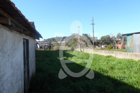 Helårsgrund i Coimbra, Coimbra, Coimbra - € 28.500 | Ref: cbr1761 - foto 3