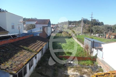 Helårsgrund i Coimbra, Coimbra, Coimbra - € 28.500 | Ref: cbr1761 - foto 4
