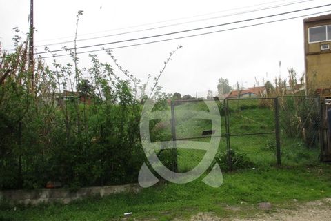 Helårsgrund i Coimbra, Coimbra, Coimbra - € 28.500 | Ref: cbr1761 - foto 5
