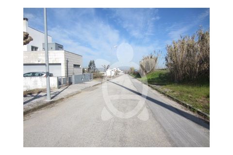 Tomt i Soure, Coimbra, Soure - € 39 500 | Ref: cdx0273 - foto 2