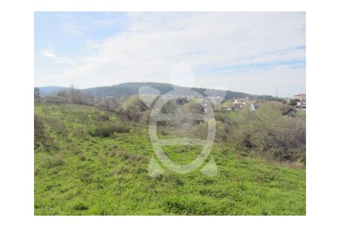 Tomt i Soure, Coimbra, Soure - € 39 500 | Ref: cdx0273 - foto 3