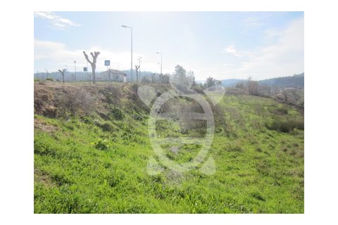 Tomt i Soure, Coimbra, Soure - € 39 500 | Ref: cdx0273 - foto 4