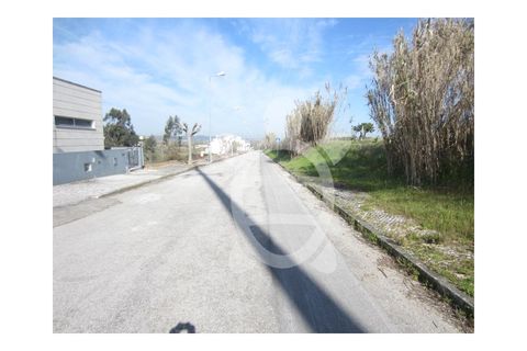 Tomt i Soure, Coimbra, Soure - € 39 500 | Ref: cdx0273 - foto 5