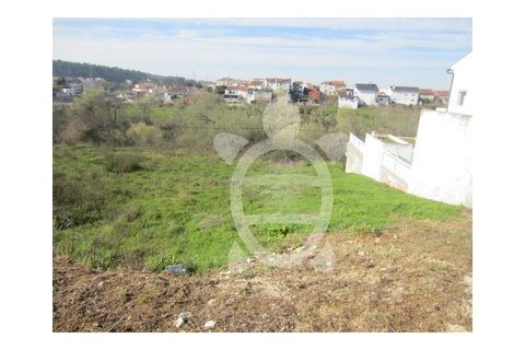 Tomt i Soure, Coimbra, Soure - € 39 500 | Ref: cdx0273 - foto 6