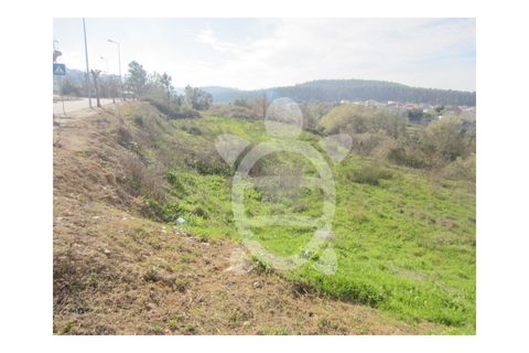 Tomt i Soure, Coimbra, Soure - € 39 500 | Ref: cdx0273 - foto 7