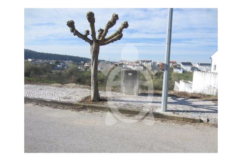 Tomt i Soure, Coimbra, Soure - € 39 500 | Ref: cdx0273 - foto 8